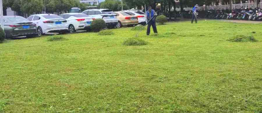 綠化養(yǎng)護(hù)(圖2)