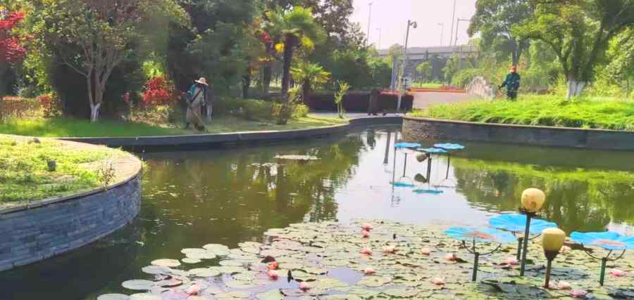 綠化養(yǎng)護(hù)(圖4)