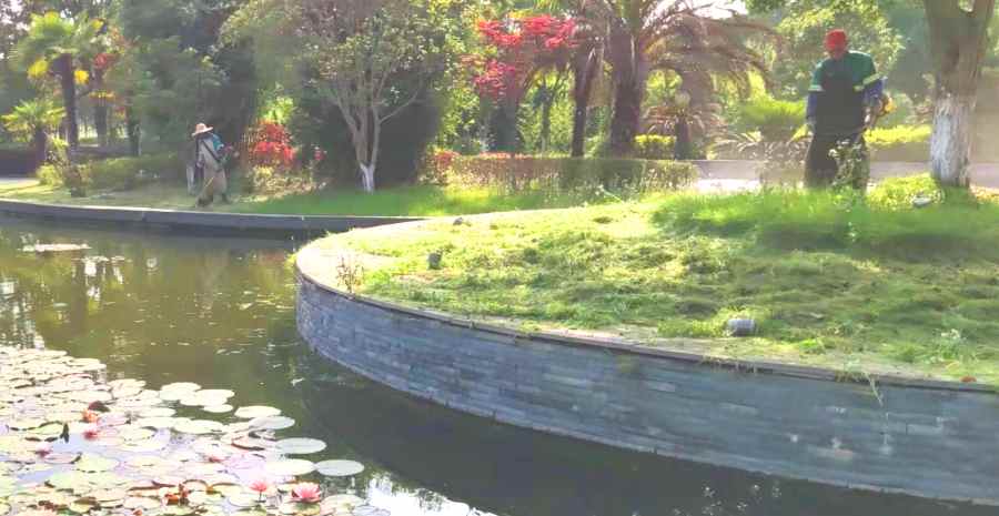 小區(qū)/住宅社區(qū)綠化養(yǎng)護(hù)(圖3)