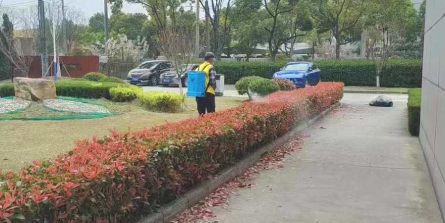 物業(yè)/開發(fā)商綠地養(yǎng)護(hù)(圖2)