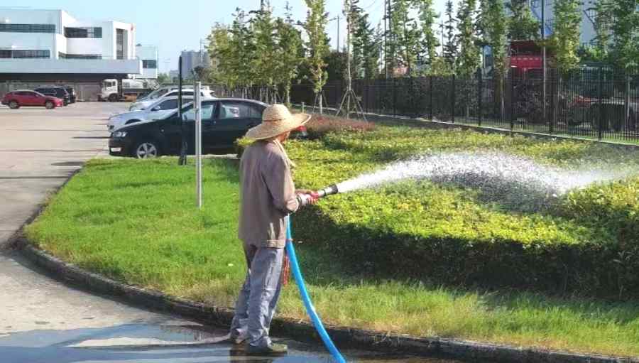 綠化養(yǎng)護(hù)(圖3)