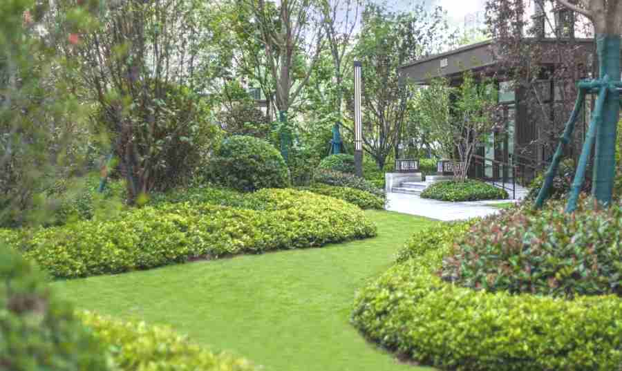 學(xué)校/醫(yī)院綠地養(yǎng)護(hù)(圖3)