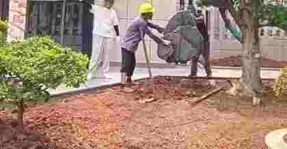 昆山綠化工程：創(chuàng)新驅(qū)動(dòng)的綠色發(fā)展之路