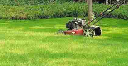 昆山綠地養(yǎng)護(hù)：園林綠化公司的精細(xì)與創(chuàng)新之路