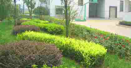 昆山綠化工程竣工驗收備案：流程、要點與意