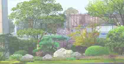 昆山環(huán)境綠化規(guī)劃備案的重要性及實施要點